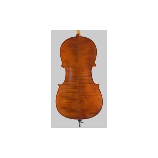 Violoncelle Stentor 2 1/2