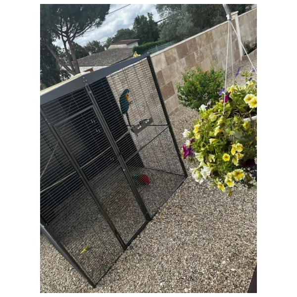 Volière perroquet 2x2x2 m (4 Panneaux Pleins) Volière extérieure maille soudée robuste