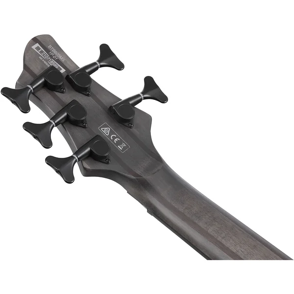 Workshop BTB805MS TGF 5-String - transparent gray flat